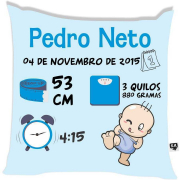 Almofada Informações do Nascimento Bebê